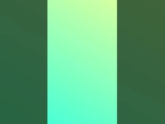 Le coton mercerisé barré tricotent le tissu doucement 95 largeur du Spandex 175cm du coton 5